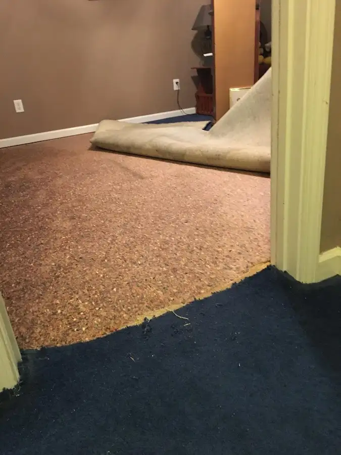 Carpet pad removal revealing water damage during Drying & Dehumidification in Ashburn