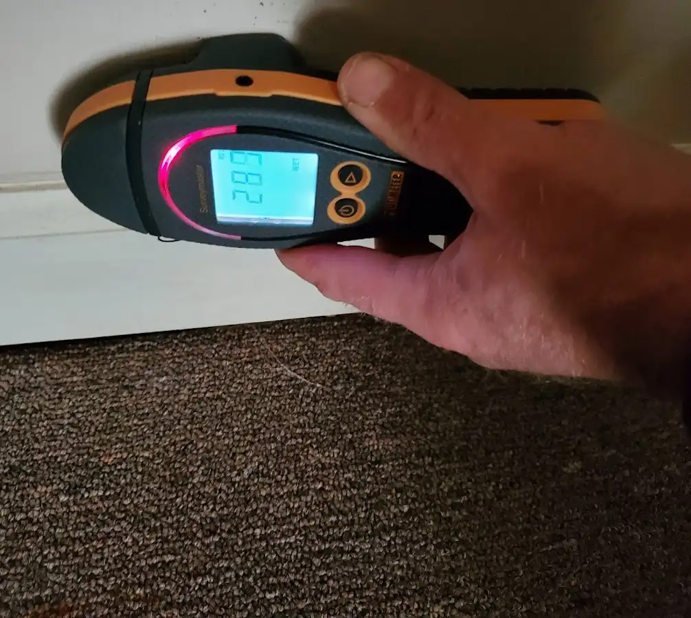 Moisture detection at baseboard during Mold Inspection & Testing in Ashburn